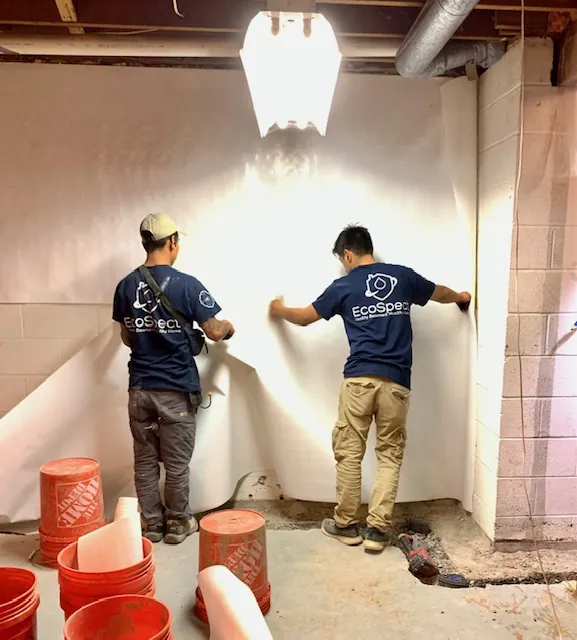 Basement Waterproofing